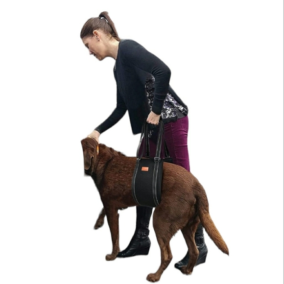 Loobani Dog Lift Assistance Harness - Picture 3 of 6